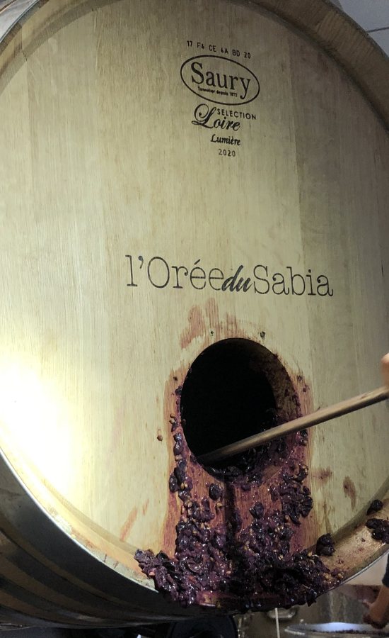 vinification integrale, vin rouge, barrique